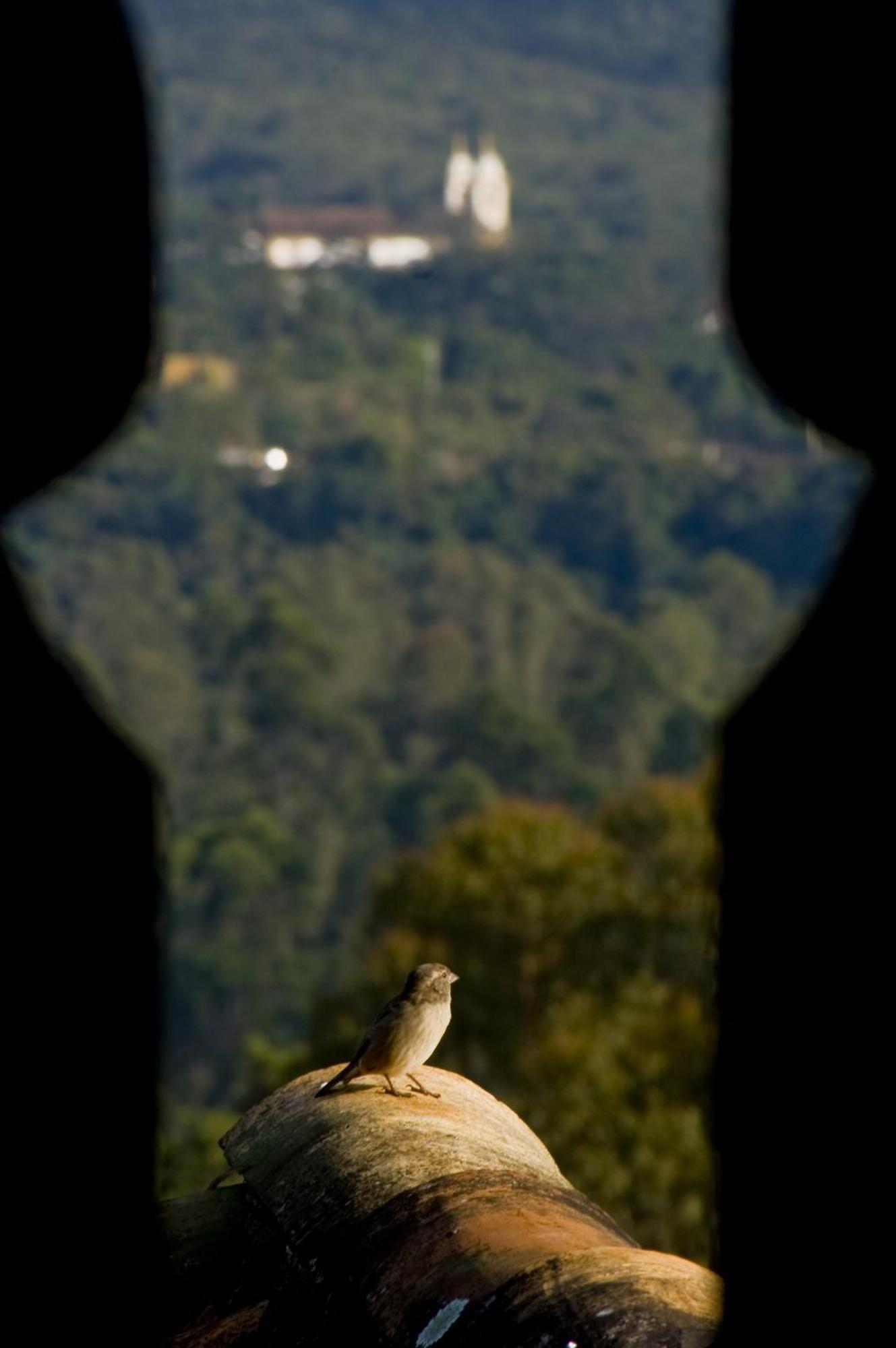 Pouso Da Torre Hotel Tiradentes Luaran gambar